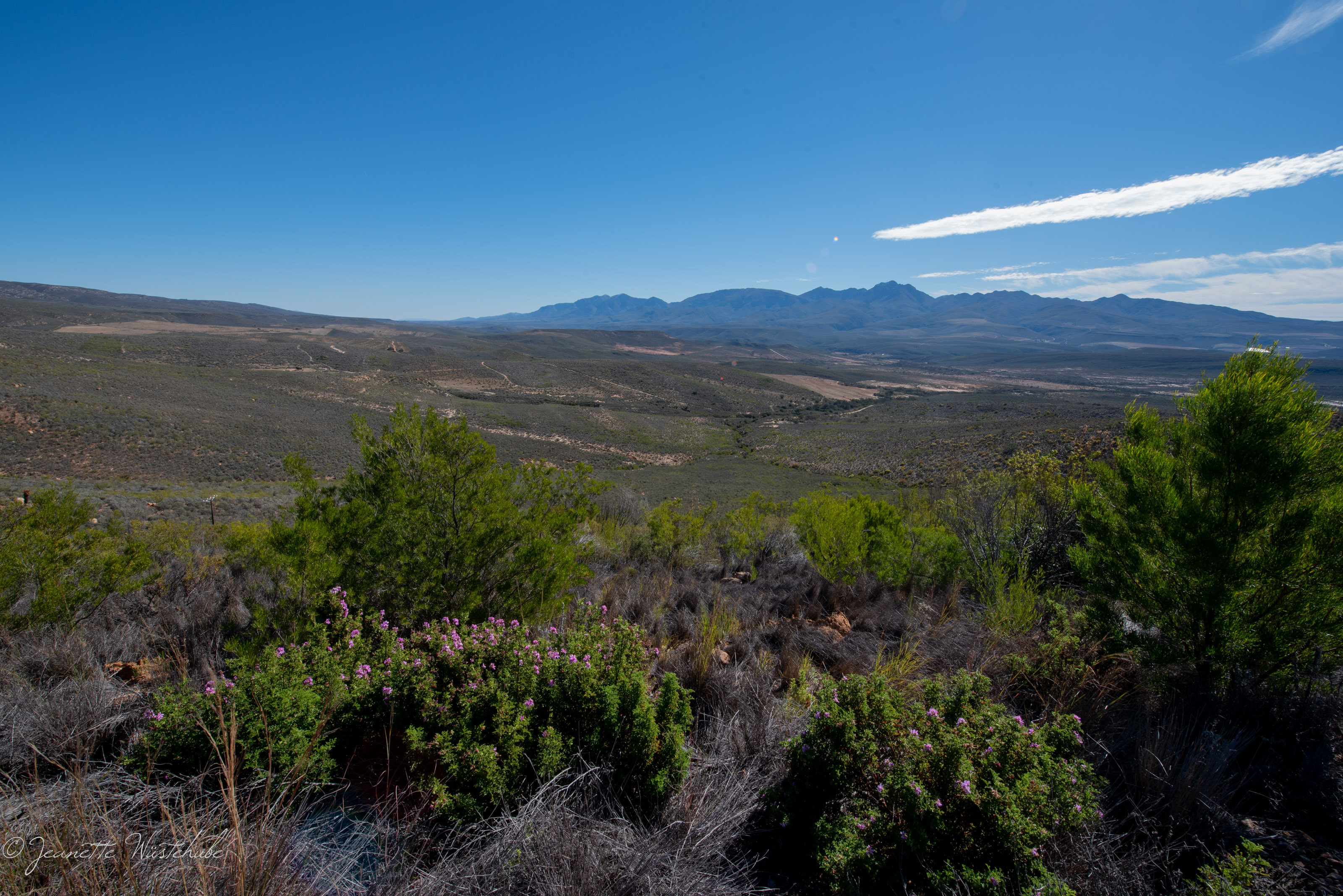 20180812_jwunbenannt_1097