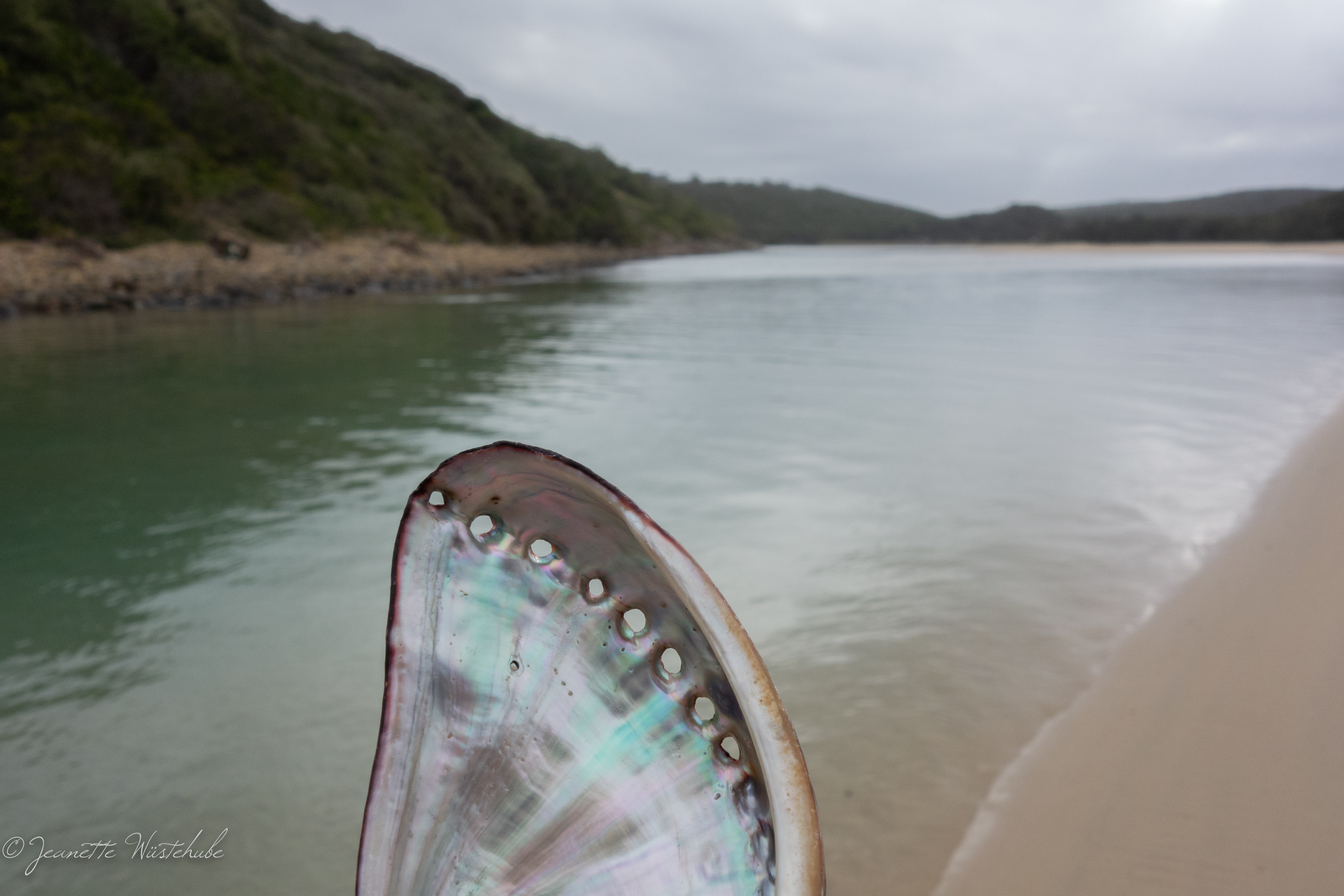 20180820_jwunbenannt_02419