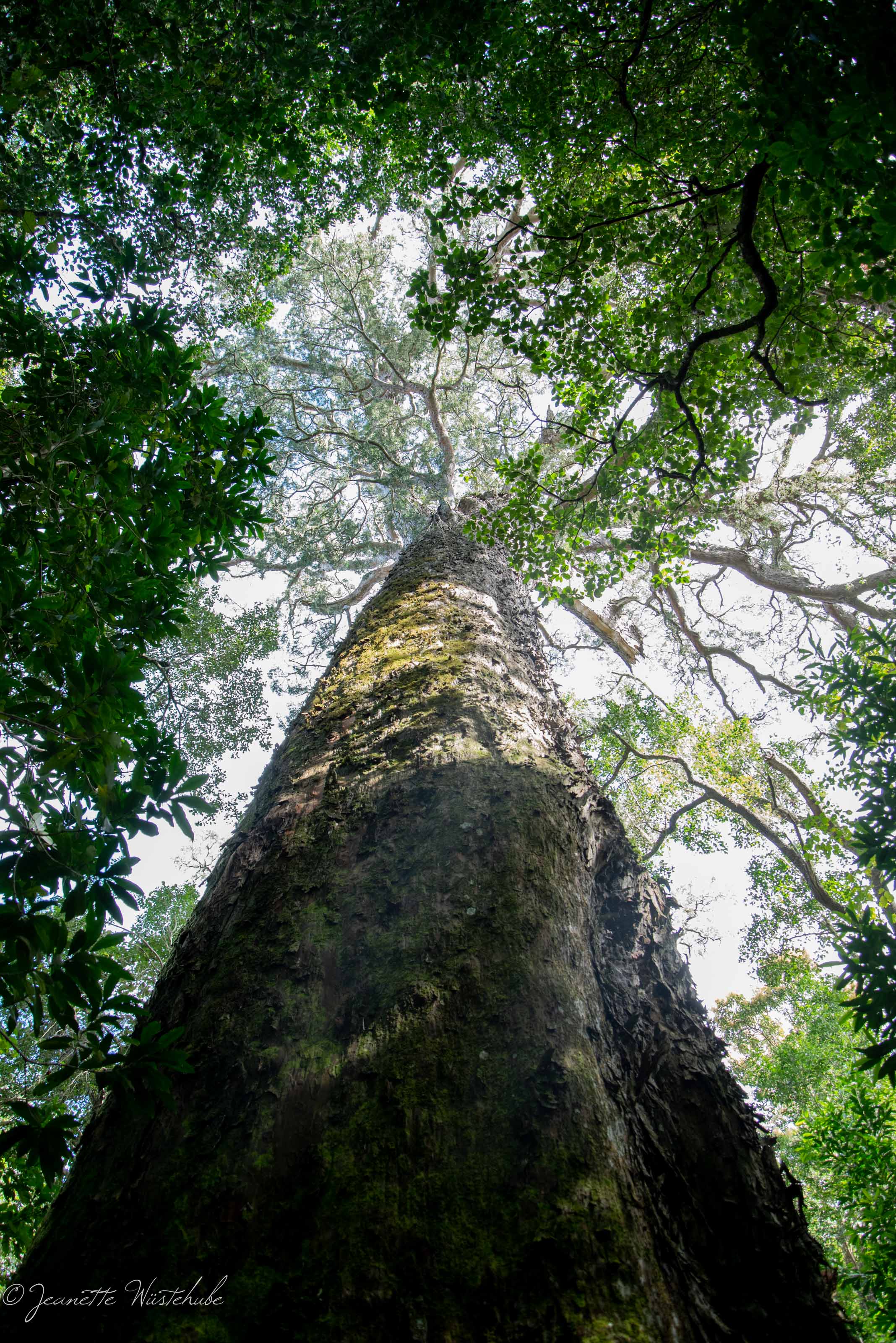 20180829_jwunbenannt_2193