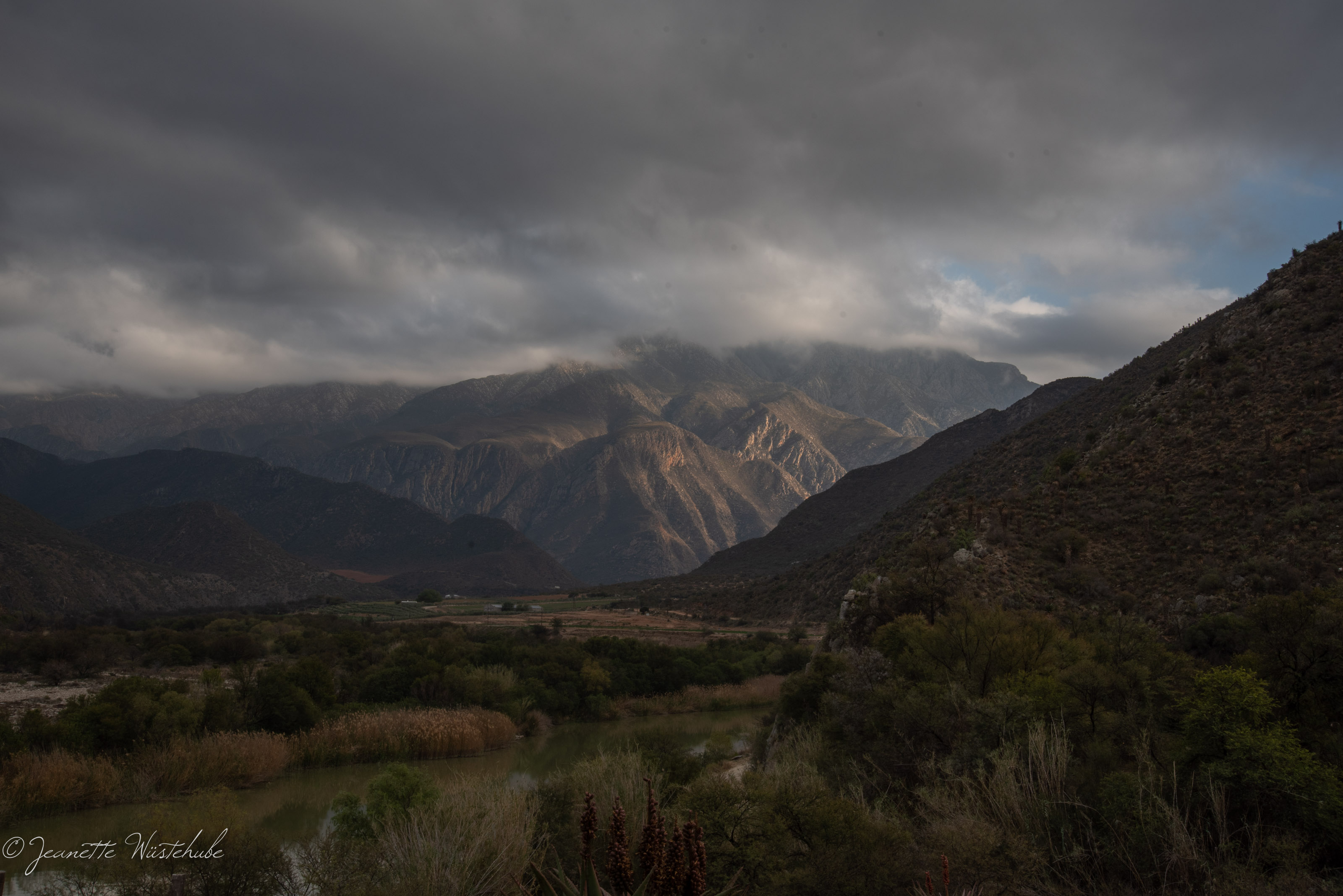 20180901_jwunbenannt_2470