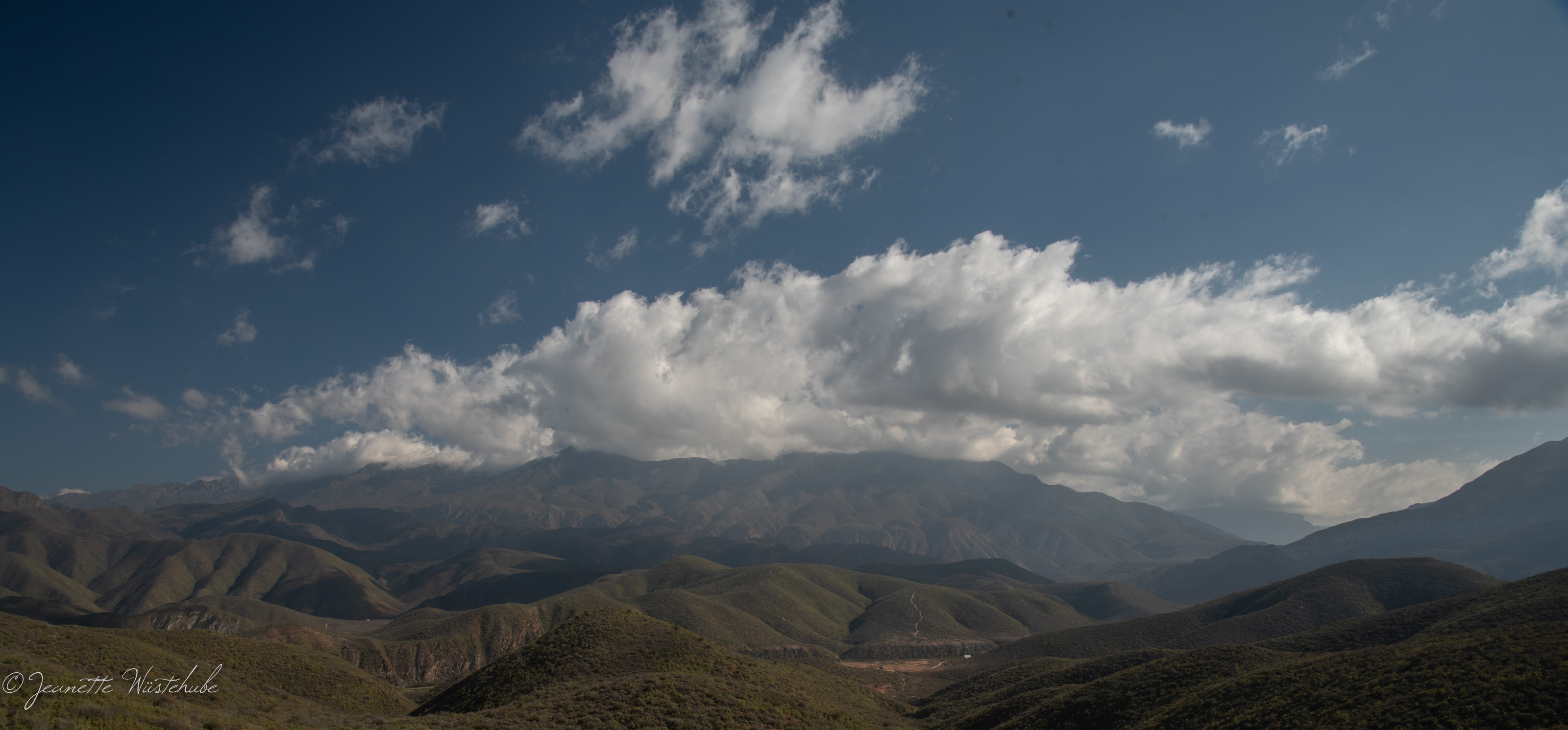 20180901_jwunbenannt_2479