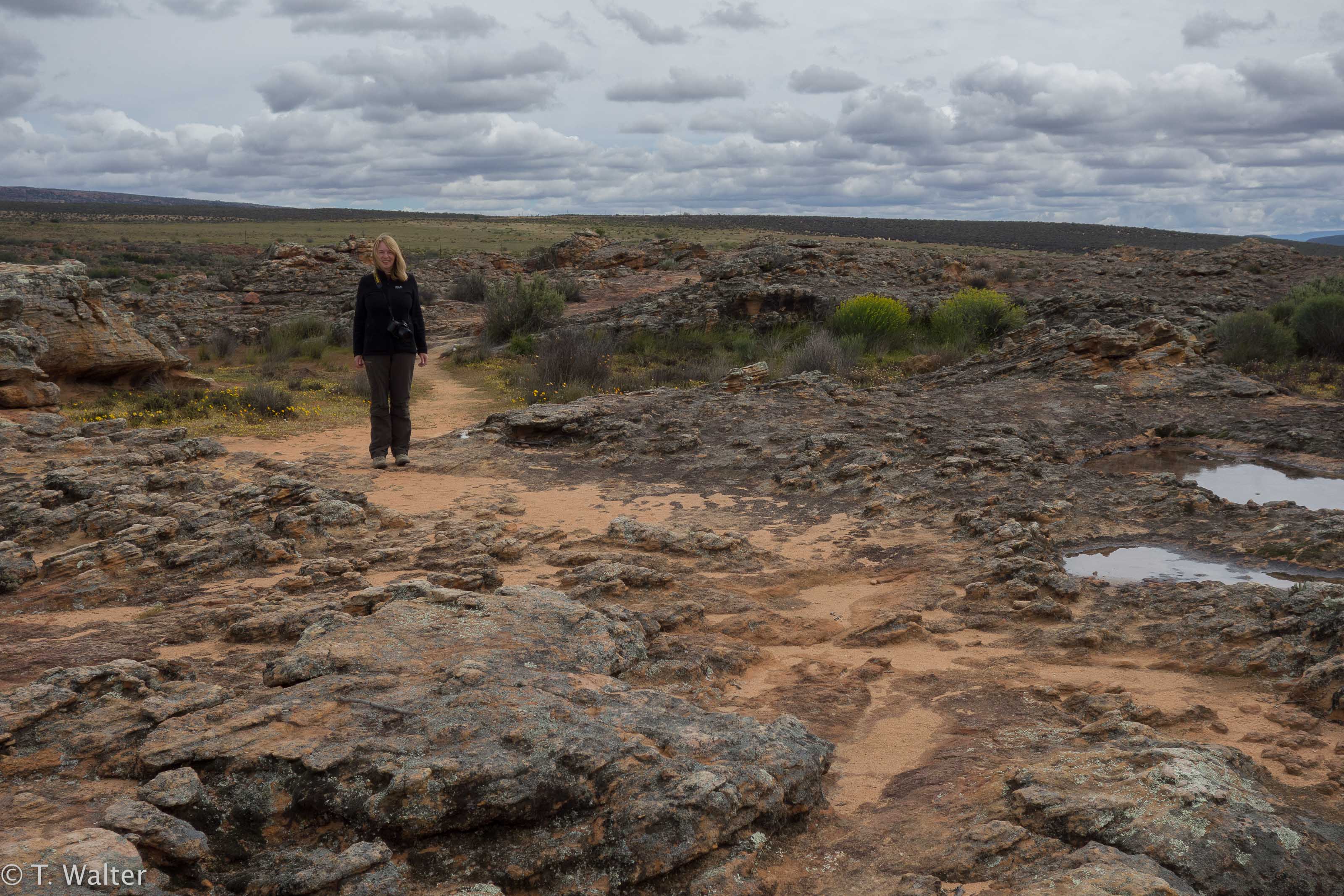 20180907_jwunbenannt_02779