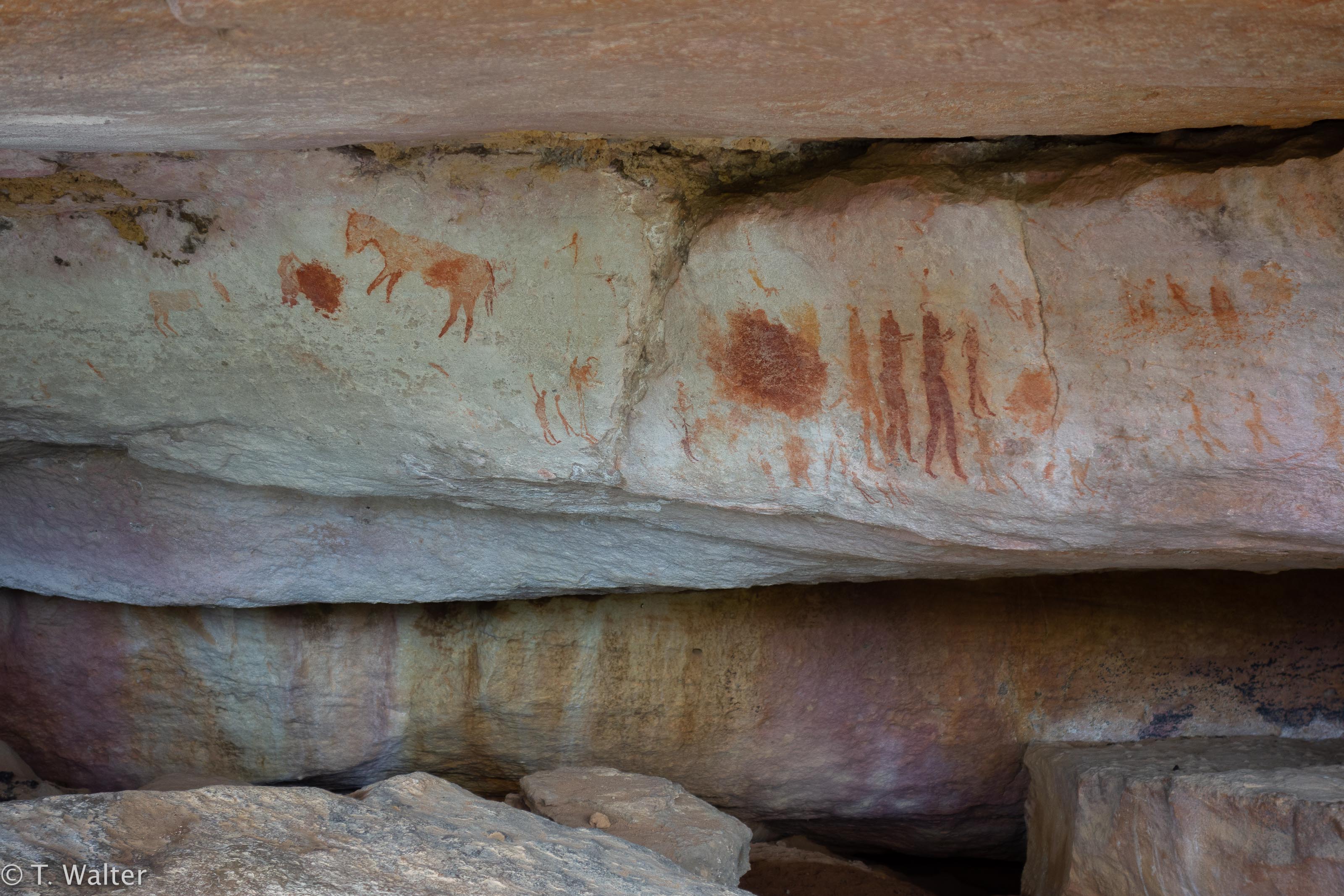 20180907_jwunbenannt_02781