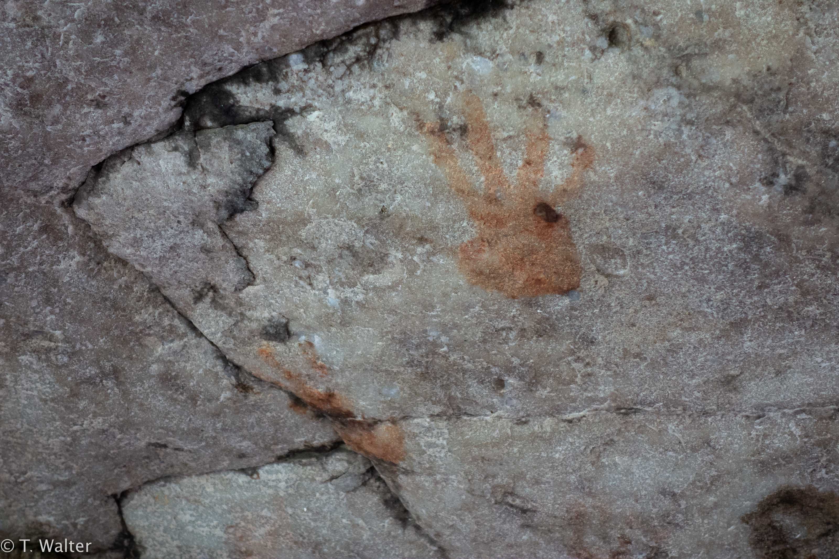 20180907_jwunbenannt_02812