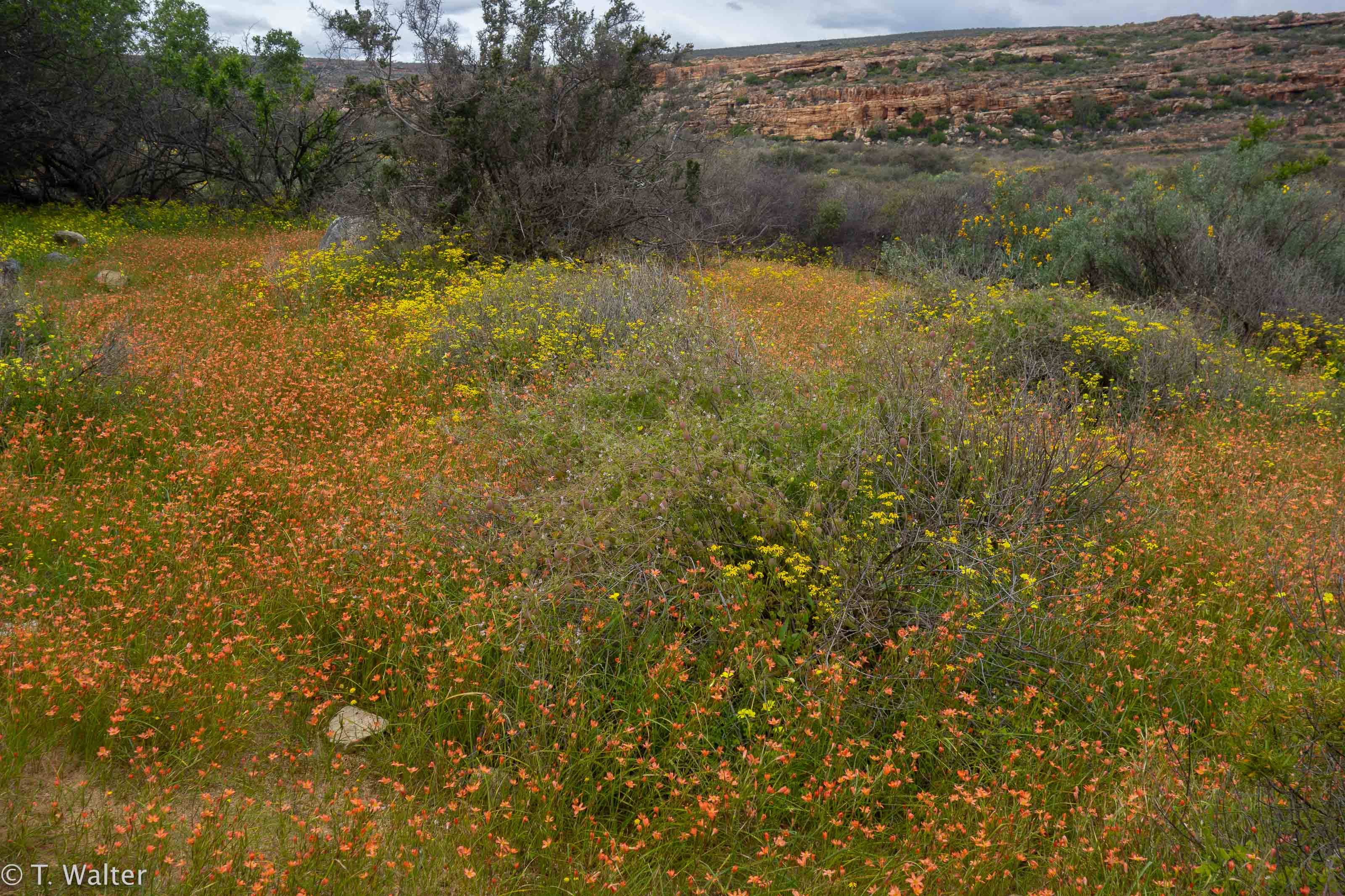 20180907_jwunbenannt_02815