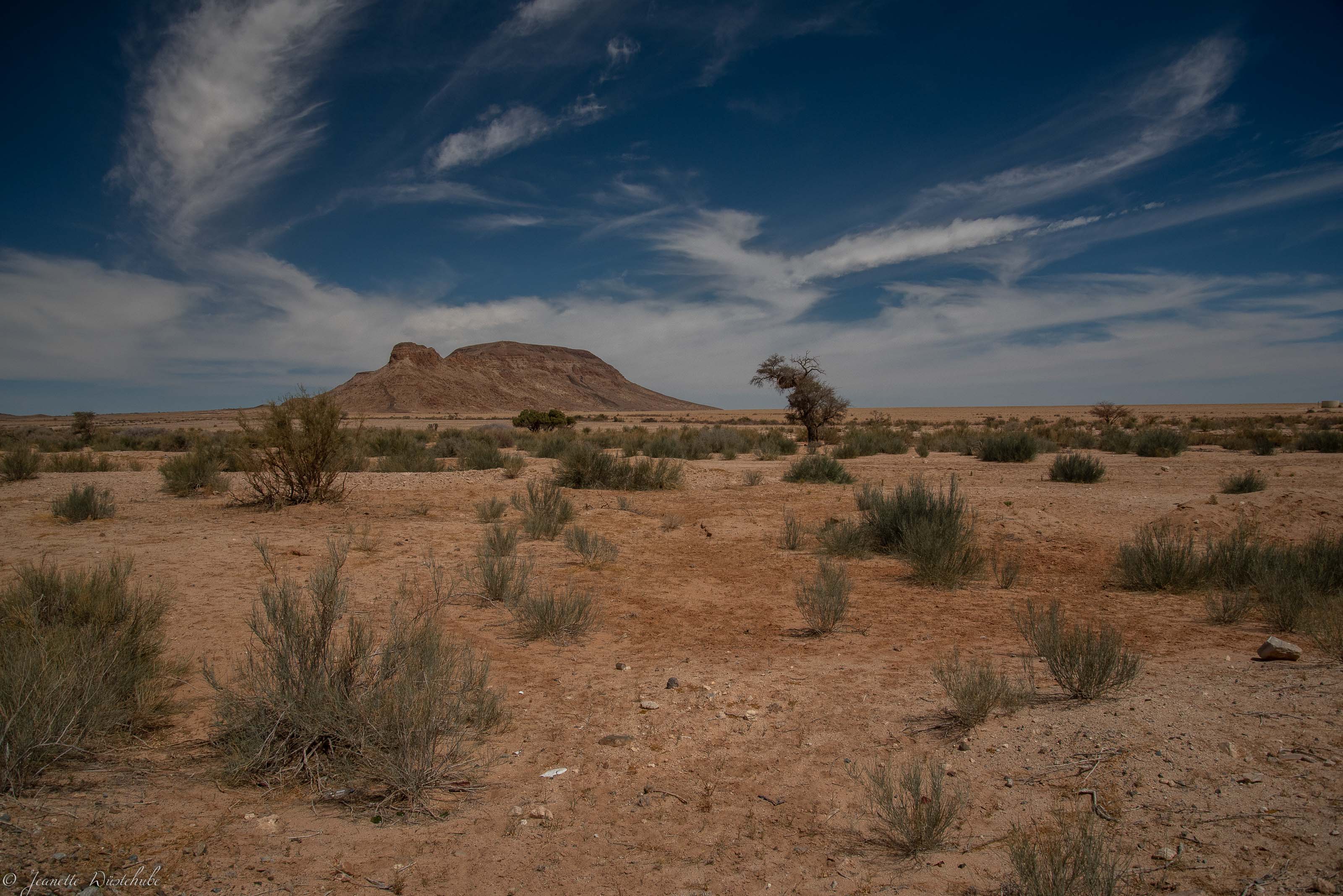 20180914_jwunbenannt_3316