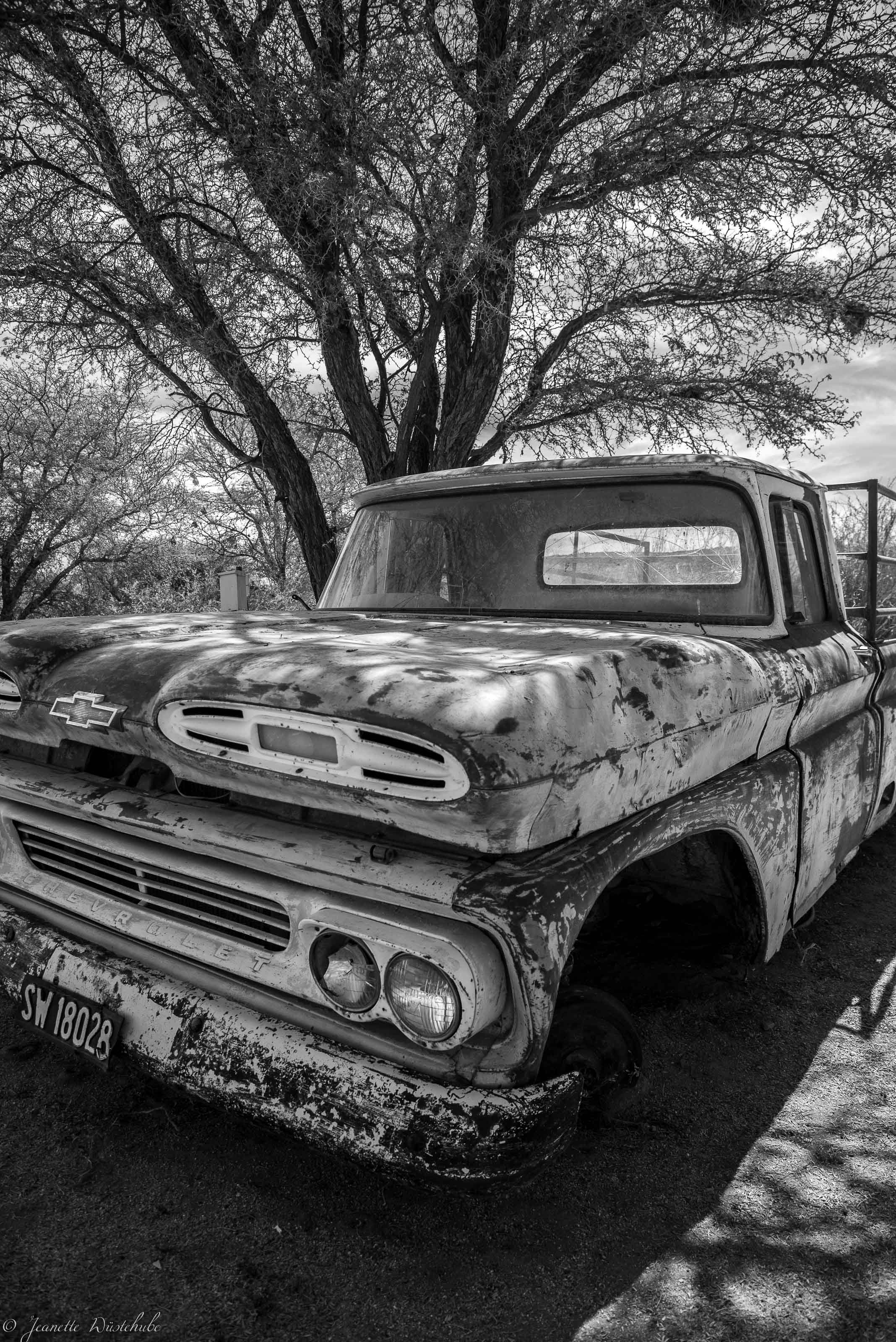 20180914_jwunbenannt_3325