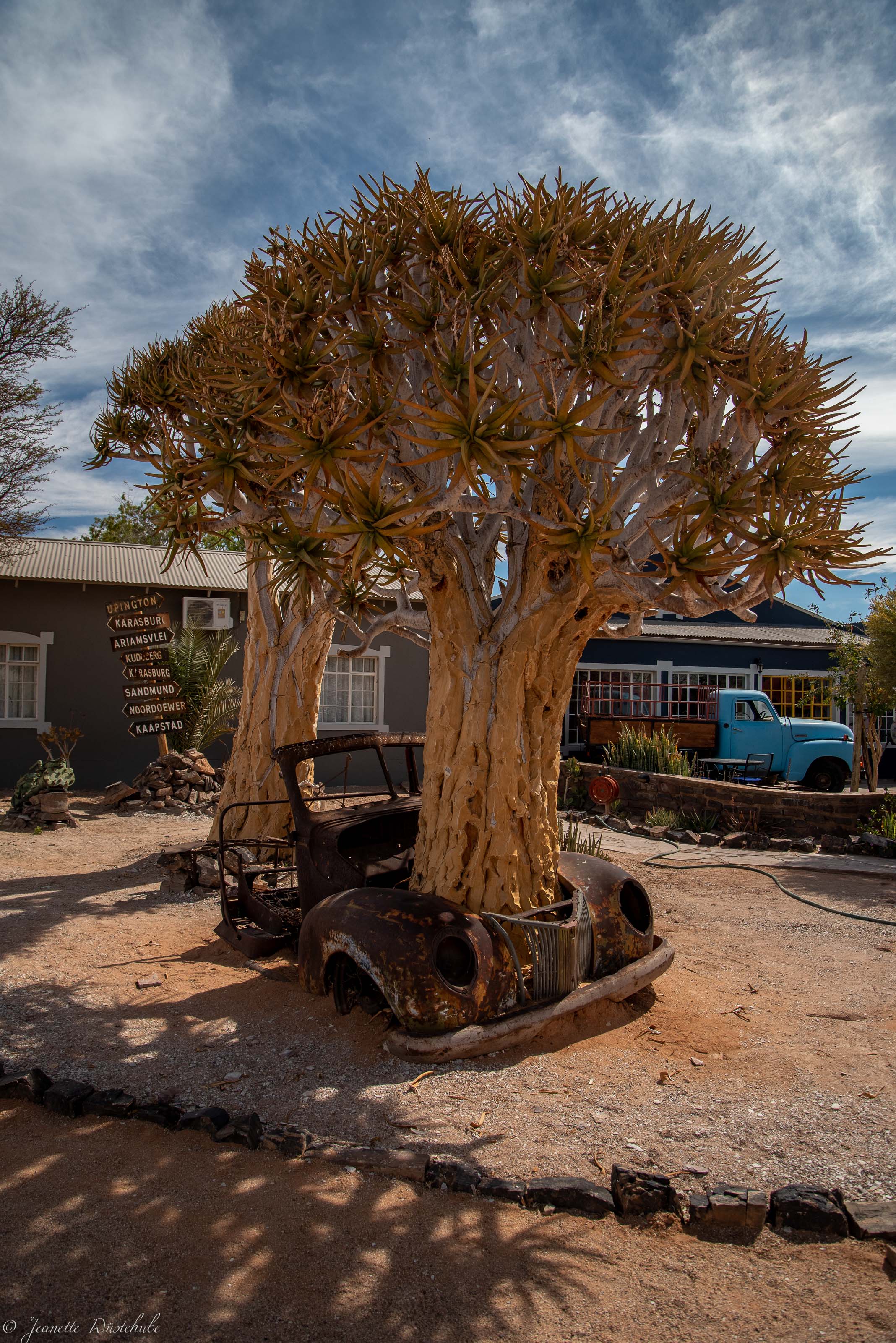 20180914_jwunbenannt_3334