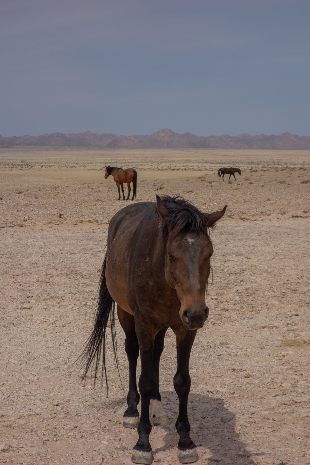 20180921_jwunbenannt_03249