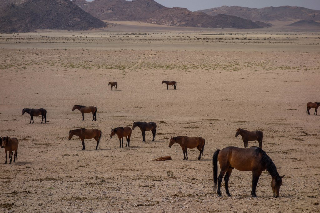 20180921_jwunbenannt_03255