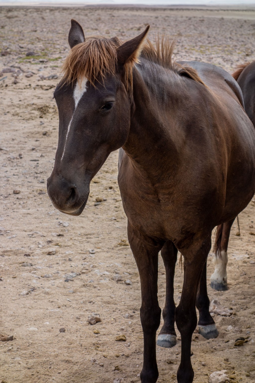 20180921_jwunbenannt_03262