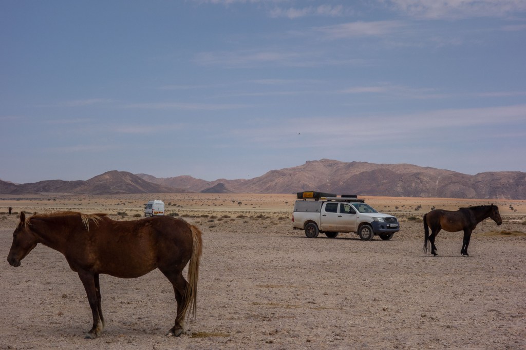 20180921_jwunbenannt_03265