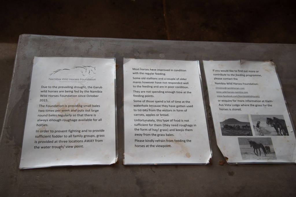 20180921_jwunbenannt_3899