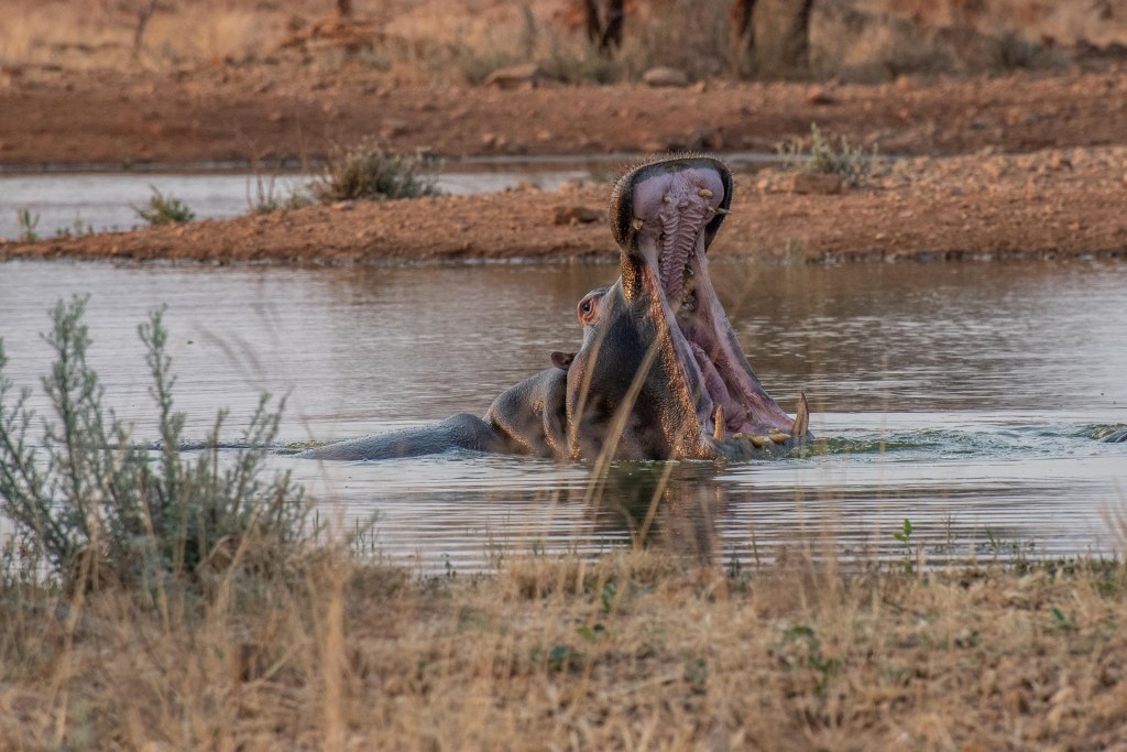 20180925_jwunbenannt_4132