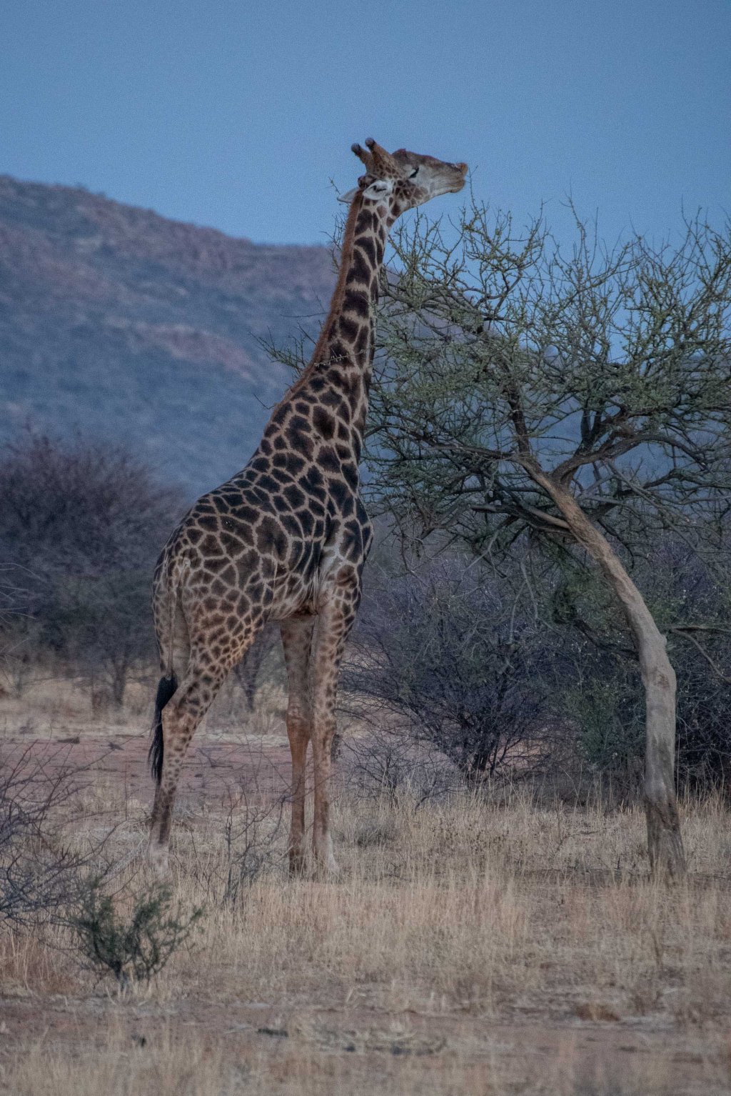 20180926_jwunbenannt_4179