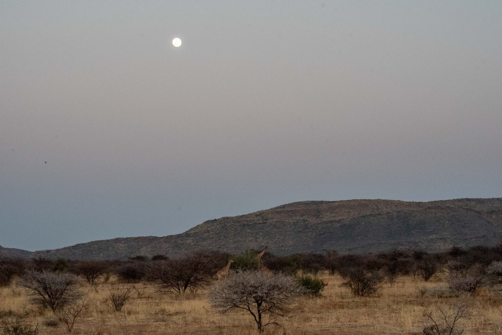 20180926_jwunbenannt_4182