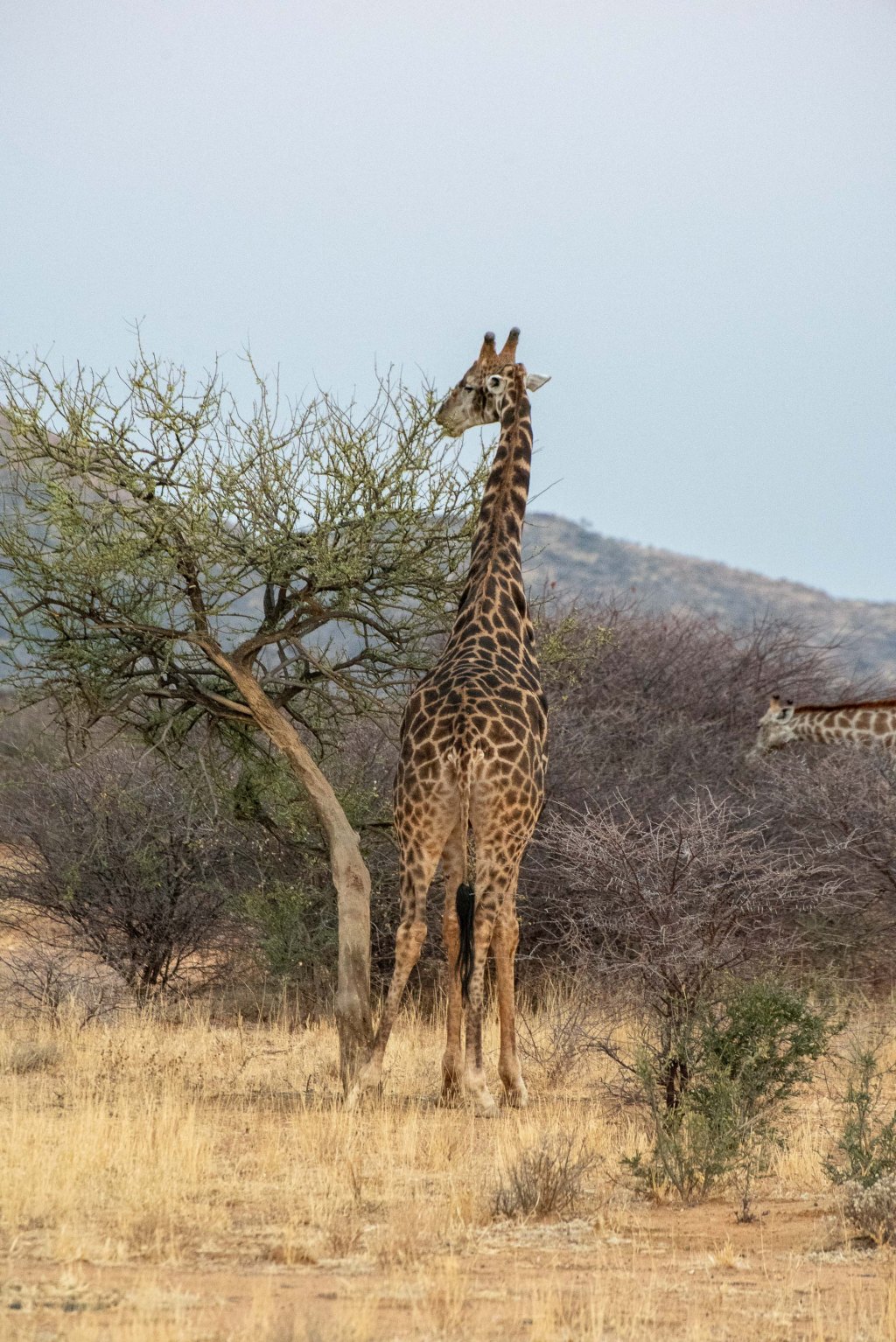 20180926_jwunbenannt_4188