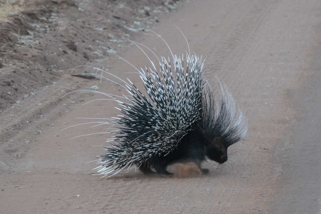 20180926_jwunbenannt_4190