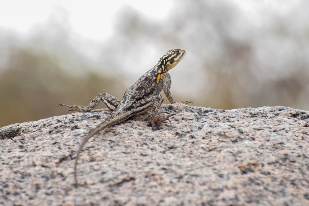 20181001_jwunbenannt_4450