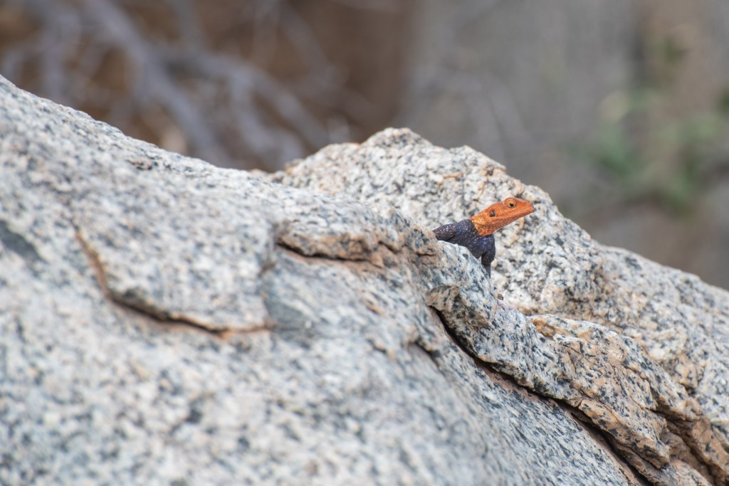 20181001_jwunbenannt_4464