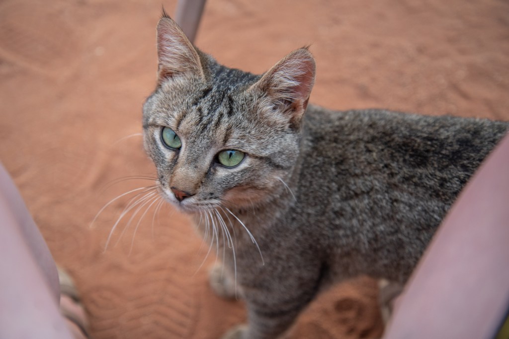 20181001_jwunbenannt_4488