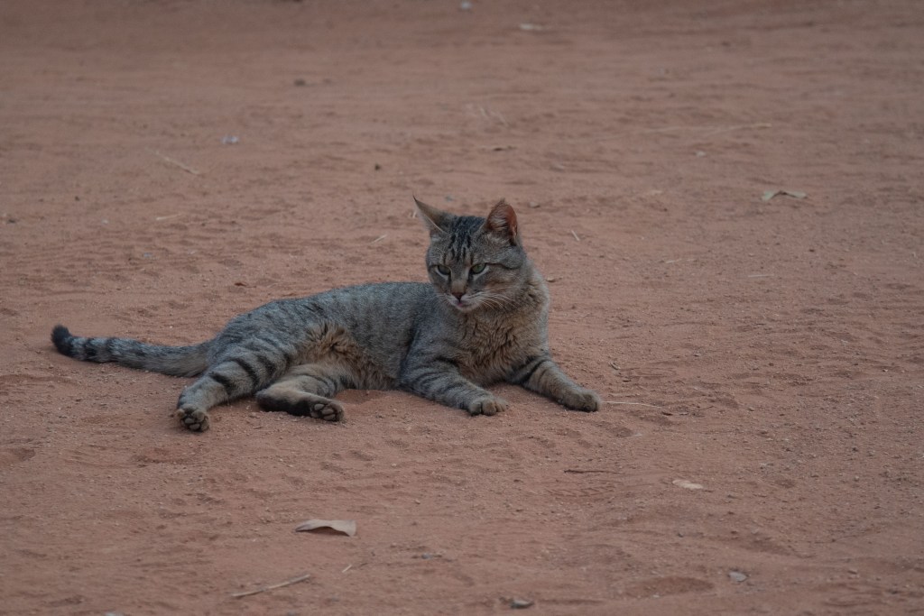 20181001_jwunbenannt_4490