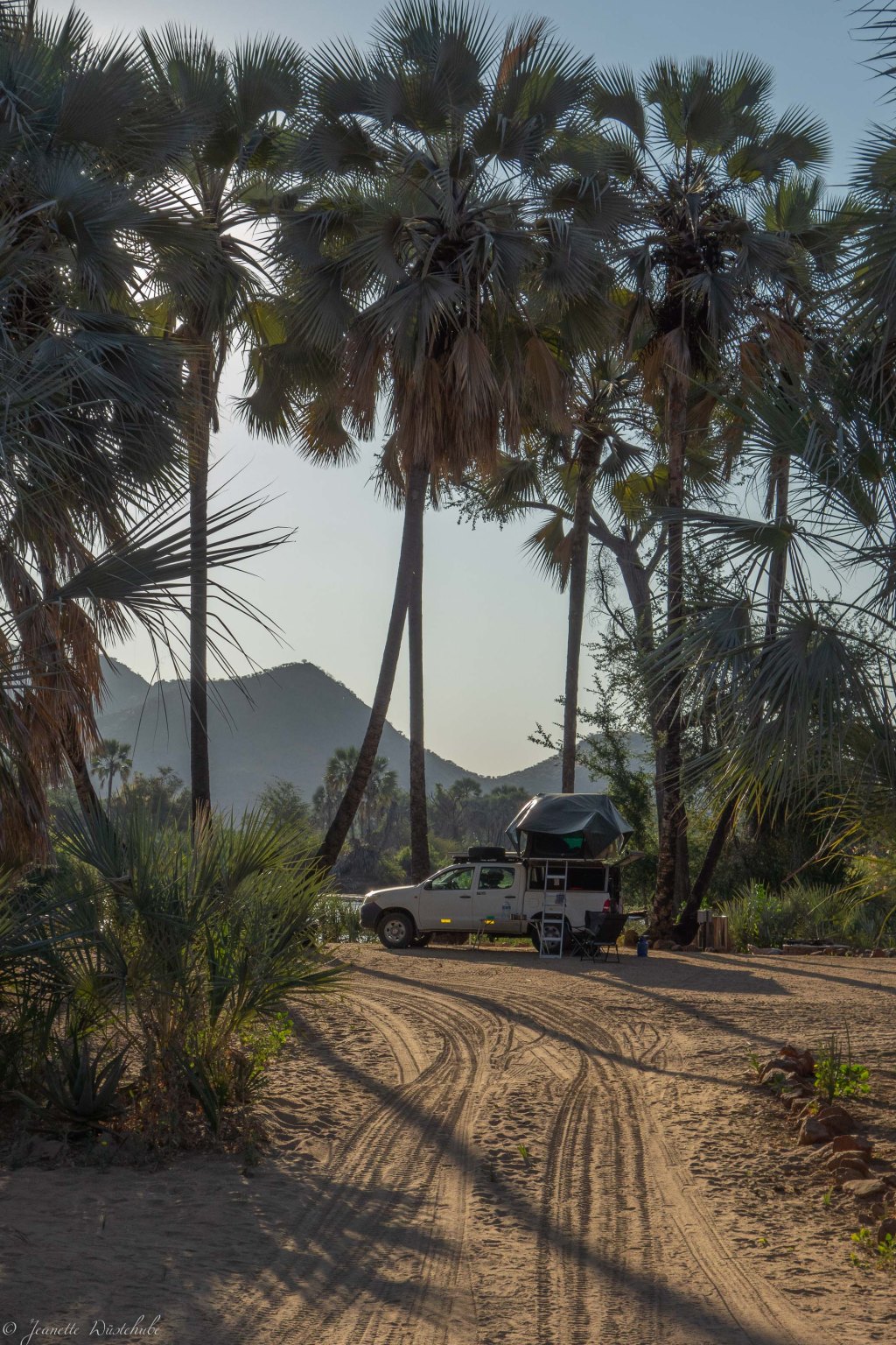 20181003_jwunbenannt_03488