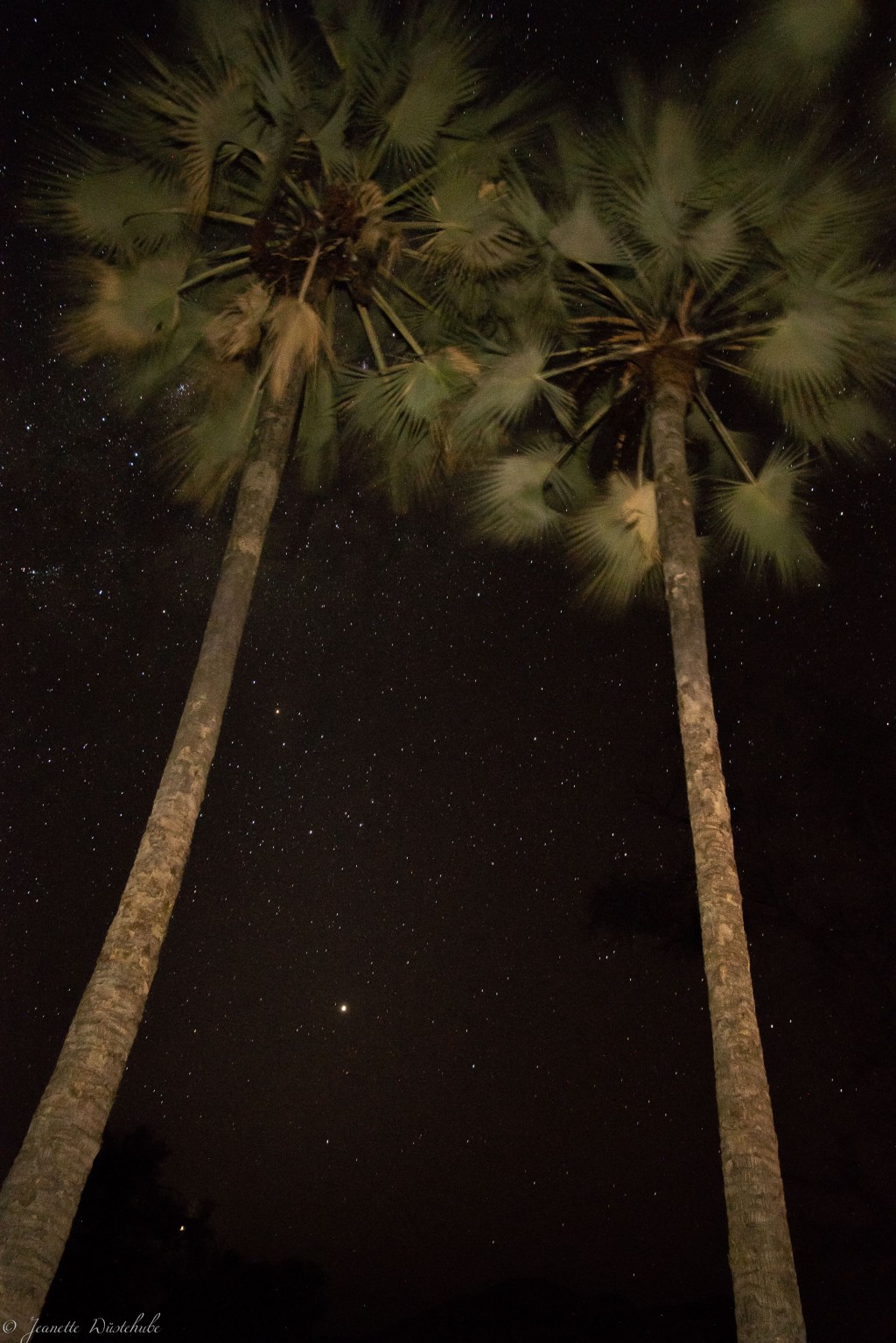 20181003_jwunbenannt_4522