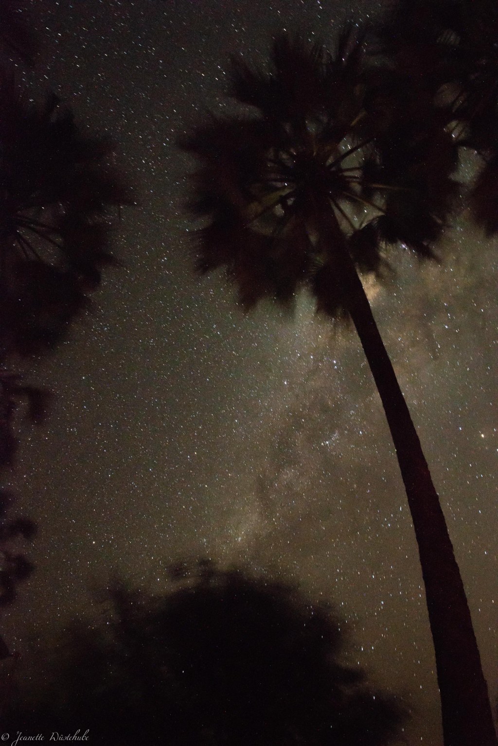 20181003_jwunbenannt_4524