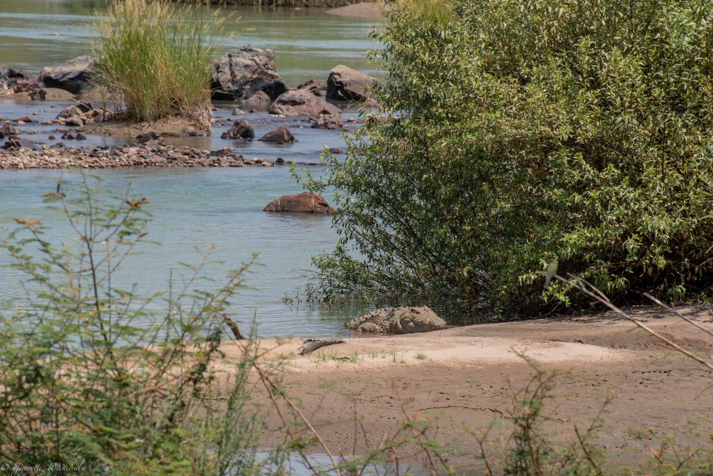 20181004_jwunbenannt_4586