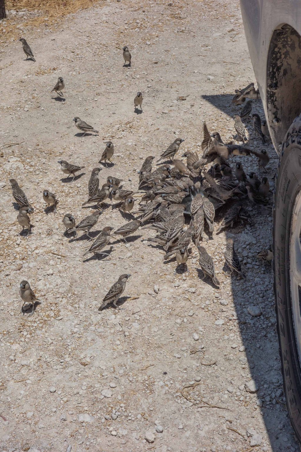 20181009_jwunbenannt_03632