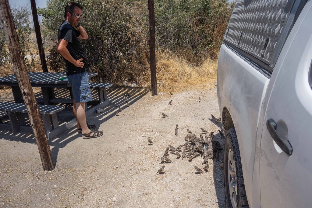 20181009_jwunbenannt_03633