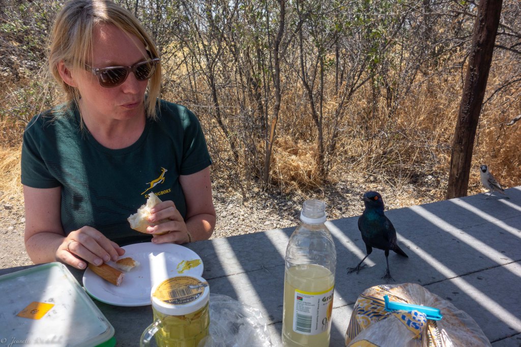 20181009_jwunbenannt_03634