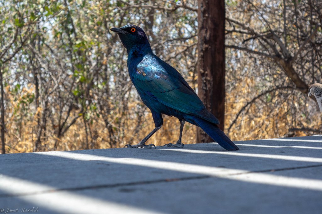 20181009_jwunbenannt_03637