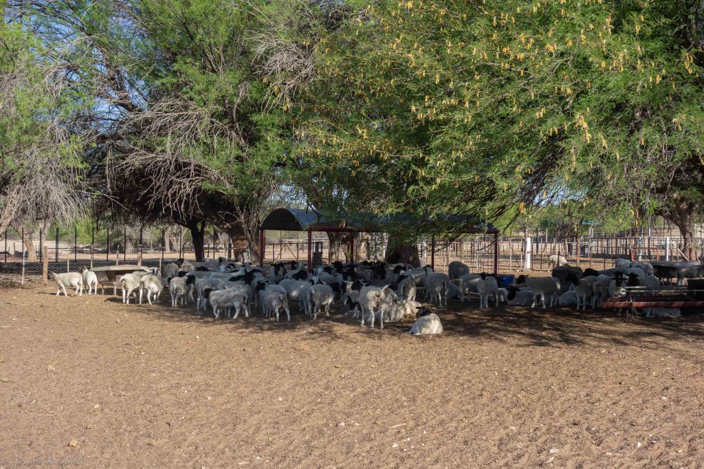 20181015_jwunbenannt_03693