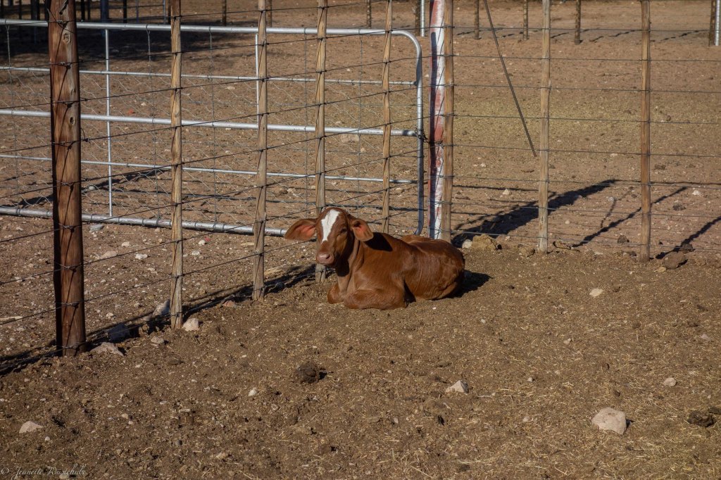 20181015_jwunbenannt_03694