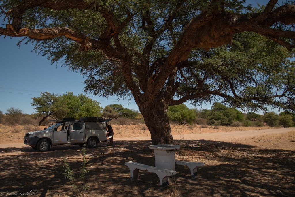 20181015_jwunbenannt_5633