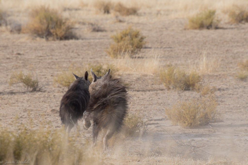 20181017_jwunbenannt_5746