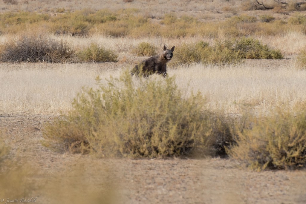 20181017_jwunbenannt_5750