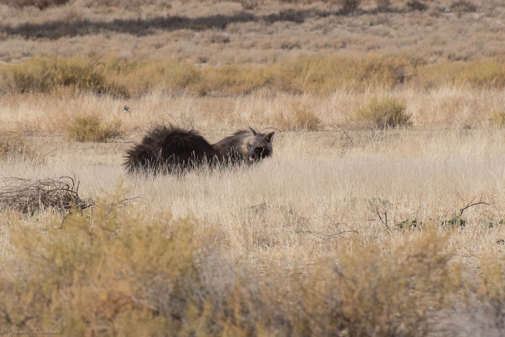 20181017_jwunbenannt_5753