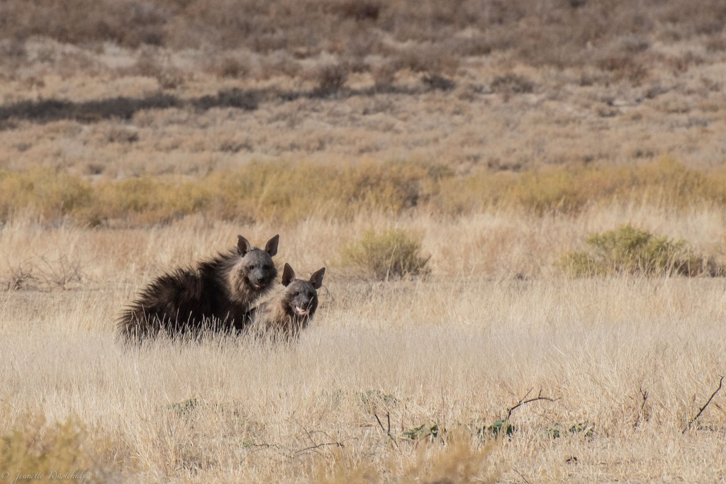 20181017_jwunbenannt_5755