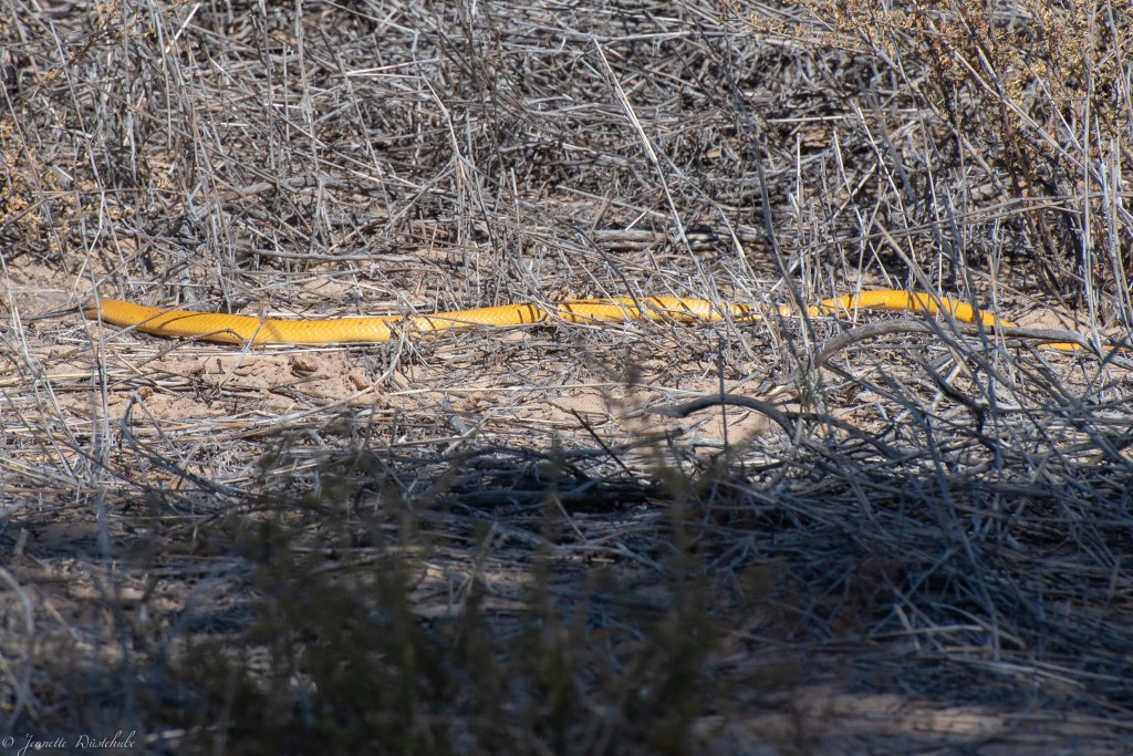 20181017_jwunbenannt_5766