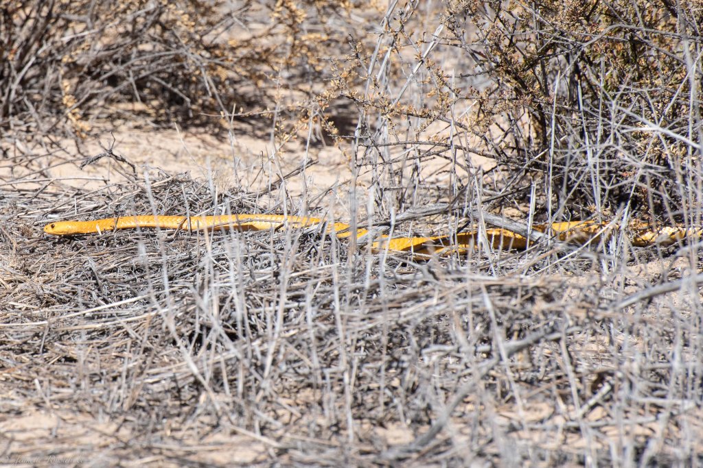 20181017_jwunbenannt_5770