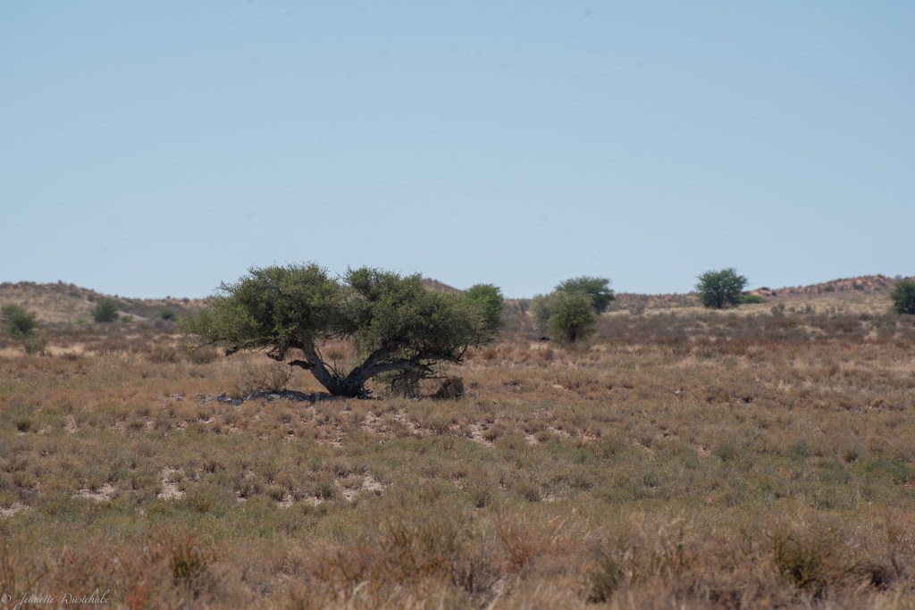 20181018_jwunbenannt_5911