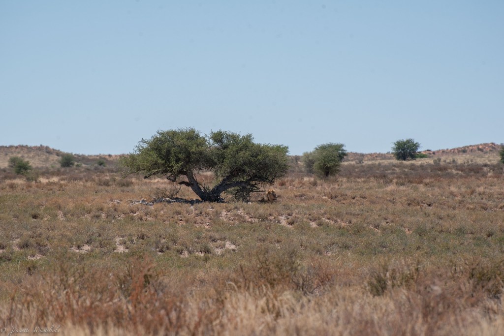 20181018_jwunbenannt_5920