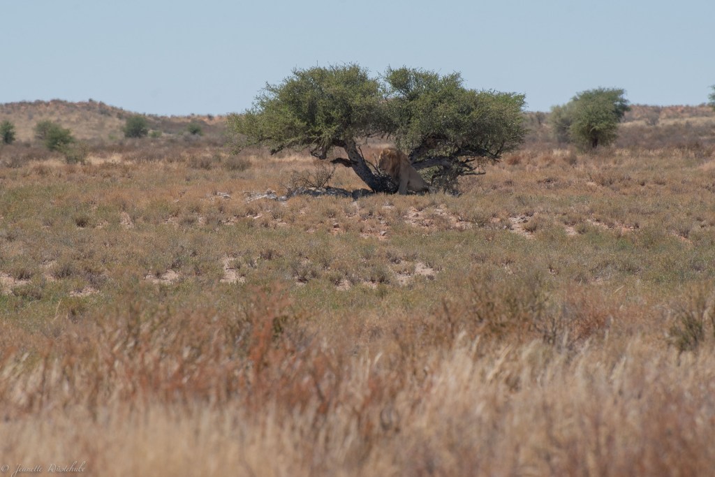 20181018_jwunbenannt_5926