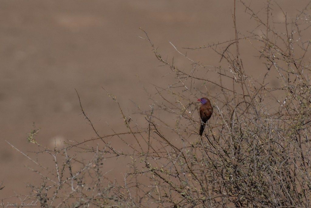 20181018_jwunbenannt_6015