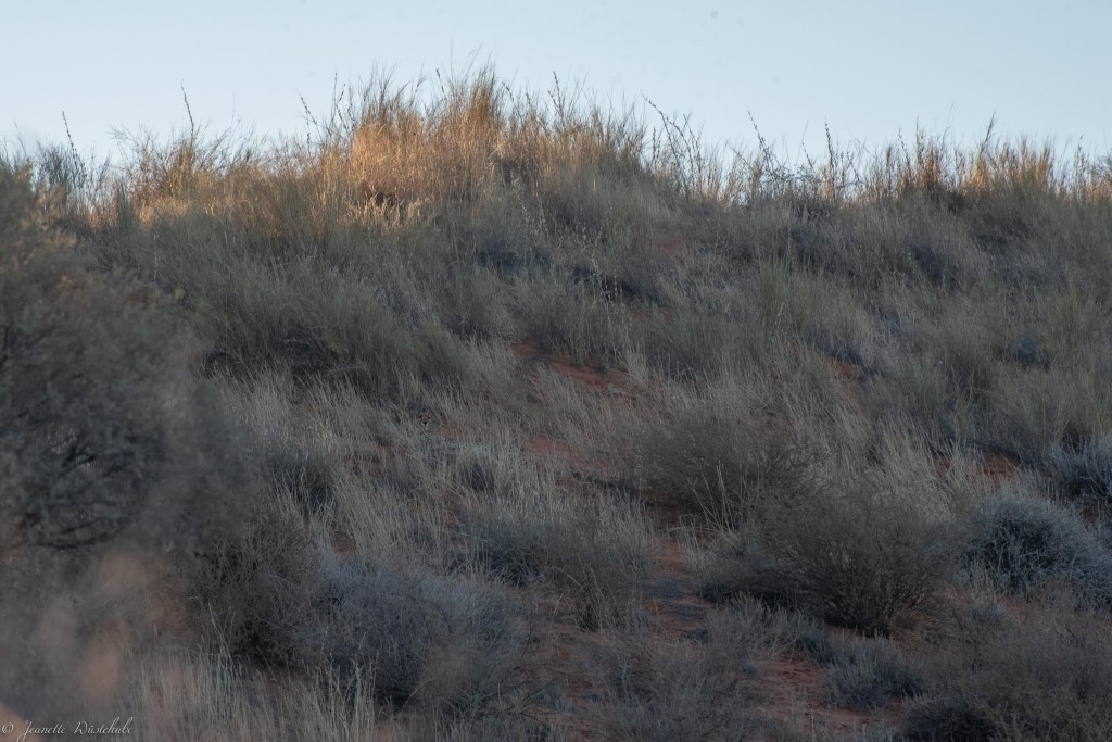 20181018_jwunbenannt_6025