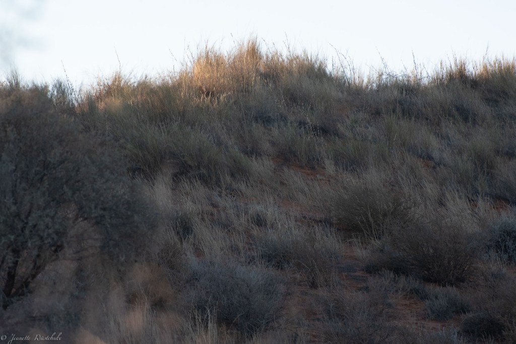 20181018_jwunbenannt_6026