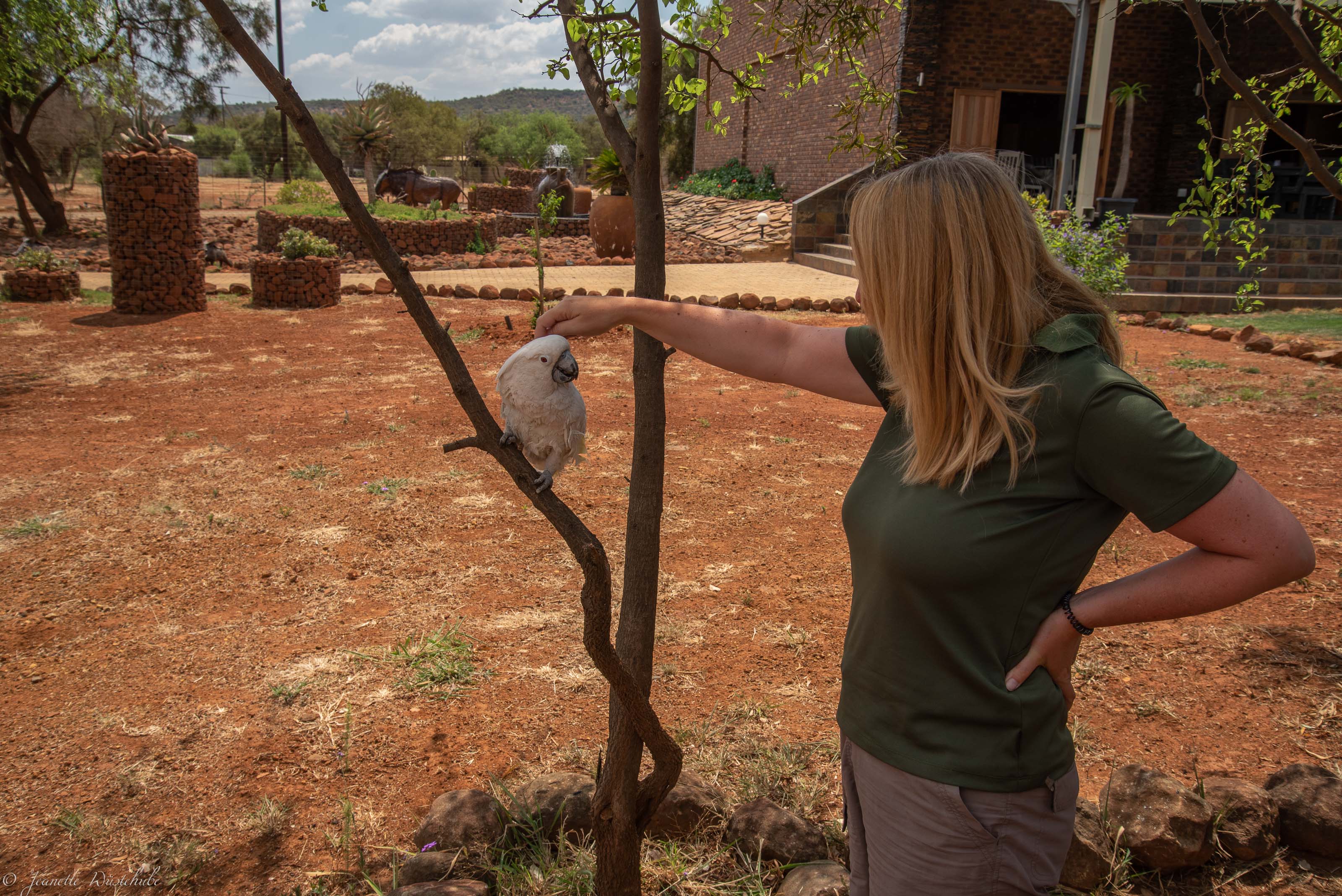 20181020_jwunbenannt_6032